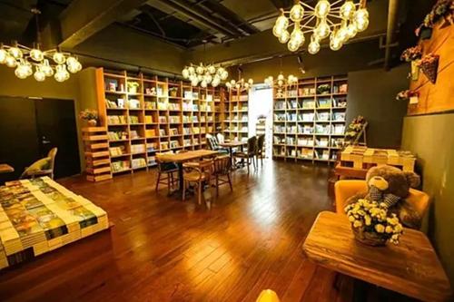 寂寞书屋最新探索，独处的知识乐趣
