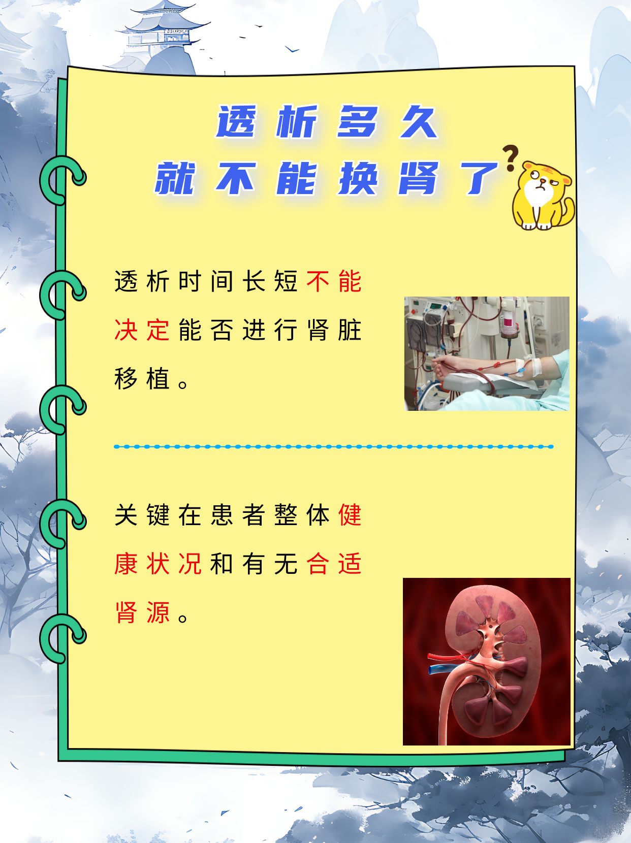 科技重塑生命，最新换肾成果展现未来医疗魅力