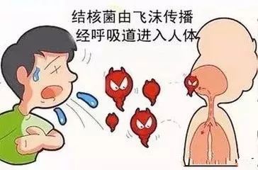 最新病情况科技产品介绍概览
