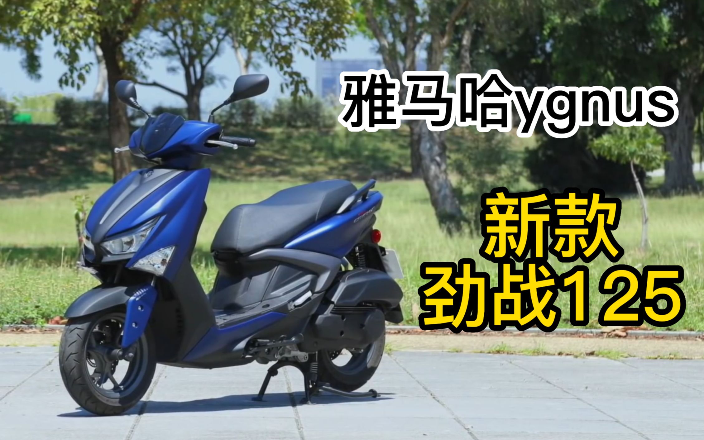 最新劲战，驭风而行，学习铸就自信与成就的挑战之旅