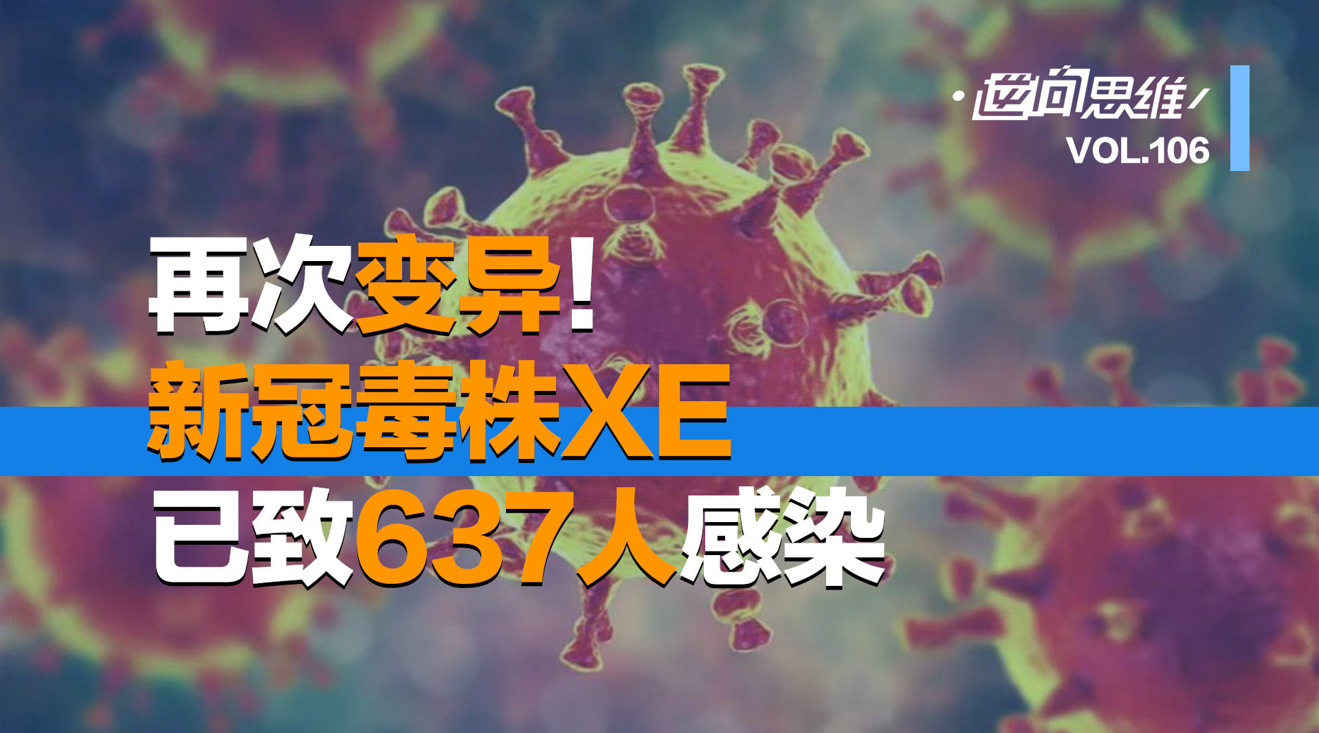 全球关注下的冠毒最新动态与科学应对三大要点解析